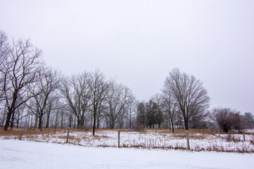 Beautiful snowy landscape seen while hiking. There is a fresh coat of bright white snow on the ground and a colorful plain of yellow and brown foliage on either side of a hiking path.