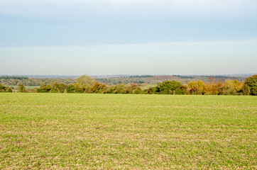 Fototapeta na wymiar View across Hampshire farmland with Reading in the far distance