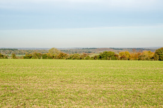 View across Hampshire farmland with Reading in the far distance