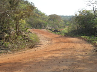 CARRETERA SOLITARIA EN LA SELVA 