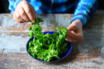 Selective focus. Male hands are holding fresh green salad. Mash salad