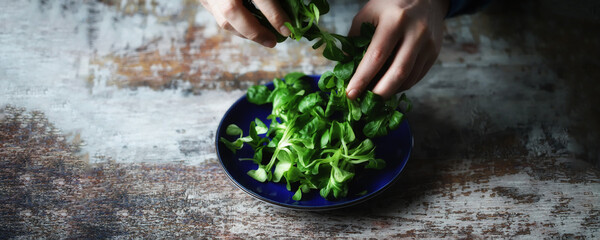 Selective focus. Male hands are holding fresh green salad. Mash salad
