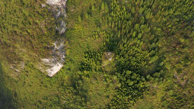 Karst mountain forest landscape, aerial top down view