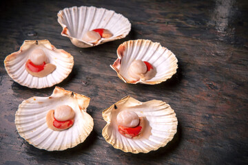 Raw seafood: scallops, langoustines, shrimps, oysters, mussels on ice