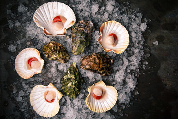 Raw seafood: scallops, langoustines, shrimps, oysters, mussels on ice