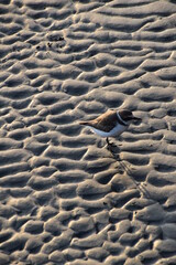 The view of wetland in Taichung, Taiwan