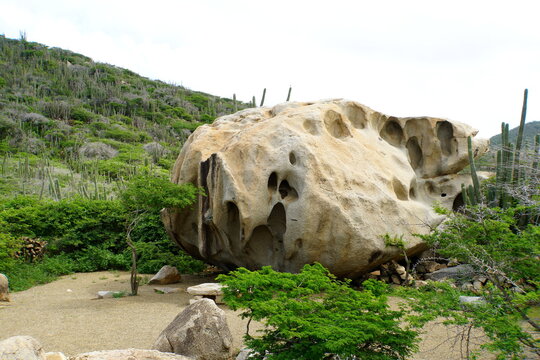 The tropical plants, cactus and large stones at Ayo Rock Formations in Aruba.