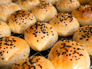 Fresh homemade burger buns with sesame seed.