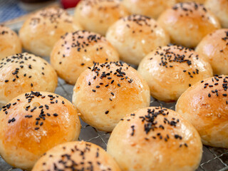 Fresh homemade burger buns with sesame seed.