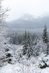 Snowing winter landscape in Tatra mountains, Slovakia