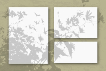 Several horizontal and vertical sheets of white textured paper against a olive wall. Mockup overlay with the plant shadows. Natural light casts shadows from the tops of field plants and flowers.