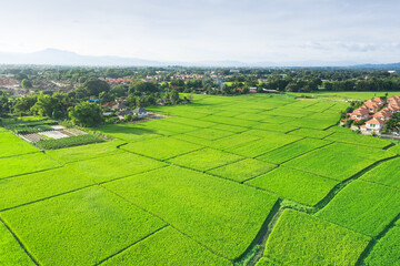 Land or landscape of green field in aerial view. Plot of land for agricultural farm, farmland or...