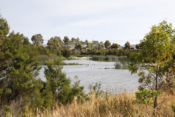 Wetlands in South East suburbs of Melbourne, Victoria, Australia showing trees, gardens, lake