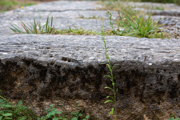 Old stone ruins and trees in the mountain