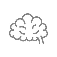 Human brain line icon. Healthy internal organ symbol
