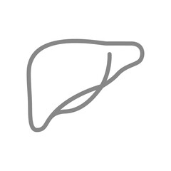 Human liver line icon. Healthy internal organ symbol