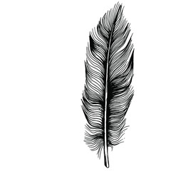 Bird feather from wing isolated. Isolated illustration element. Vector feather for background, texture, wrapper pattern, frame or border.