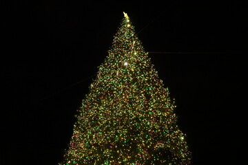 クリスマスツリー　