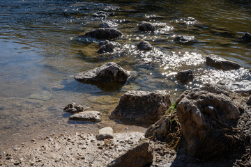 A flowing creek in a thickly forested area in the Texas Hill Country near Austin
