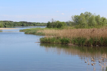 lake in the park