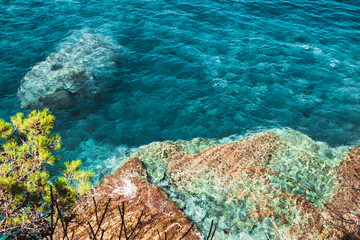 Clean clear water and good visibility at the bottom - stones in the pond