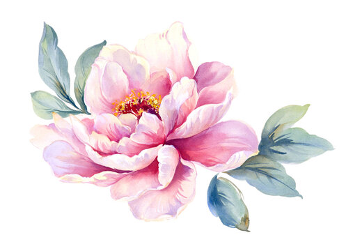Lotus Flower Watercolor Images – Browse 15,278 Stock Photos, Vectors, and  Video | Adobe Stock