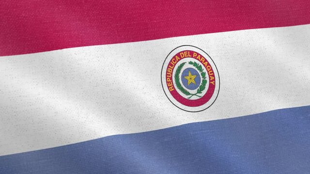 Paraguay flag wind blowing full frame background