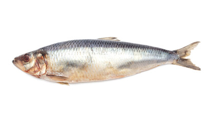 Herring isolated on a white background.