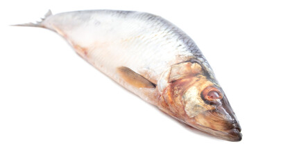 Herring isolated on a white background.