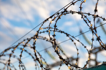 Barbed wire on the fence in the early morning. Background