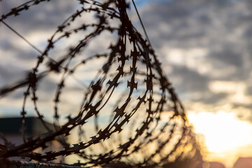 Barbed wire on the fence in the early morning. Background
