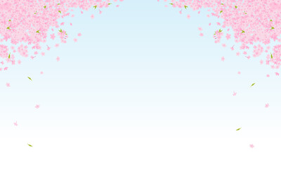 青空と散る満開の桜の花の背景素材イラスト。