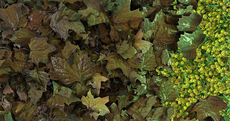 Klimawandel, Klimaveränderung - ökologische und ökonomische Ausrichtung auf erneuerbare, Klimaneutrale  und umweltfreundliche Produktion und Umgang mit der Welt