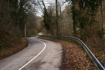 Cycling through forest on winter day.