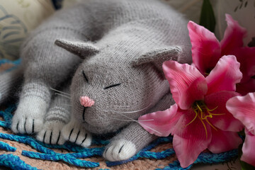 Toy plush cat sleeps on the sofa next to pink flowers: childhood, children's toys, cat hair allergy