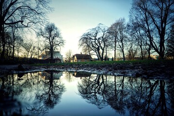 reflection of trees and house in water