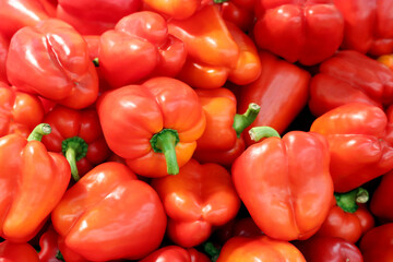 Sweet pepper close up. Red bell peppers on a market, paprika, vegetable background