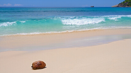 Anse Intendance beach, sand and coconut, Mahe Island, Seychelles