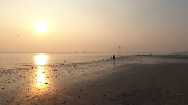 4K Real Time Wide Angle footage of a Man Walking In front of Mumbai's Bandra Worli Sea Link Bridge (BWSL) on a smoggy hazy evening during sunset. Dadar beach, Mumbai, Maharashtra, India. GH010728.