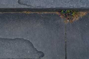 Fototapeta premium Blue limestone tiles floor texture on the walkway. Vintage rock tile texture floor for background. Copy Space. No focus, specifically.