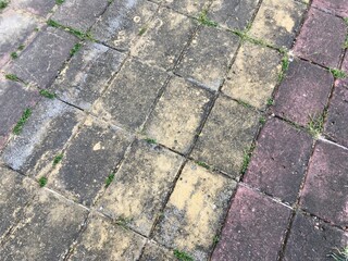 paving stone texture