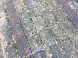 paving stone texture