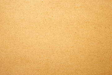 Sheet of brown paper texture for background.