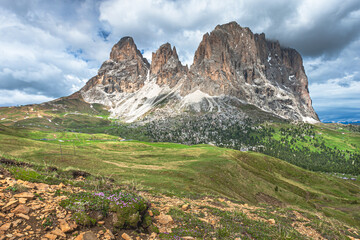 Naklejka premium landscape forest in trentino with dolomiti mountain