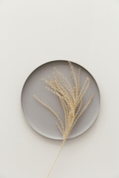 Golden colored dried grain on a grey plate against a neutral light grey background.