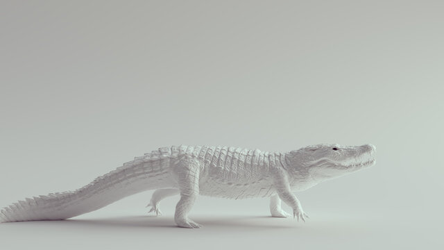 White Crocodile with Black Eyes 3d Illustration render