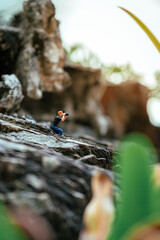 Miniature photographer taking photo of beautiful landscape