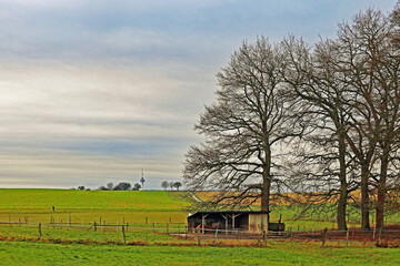 Beim Lamprechtshof
