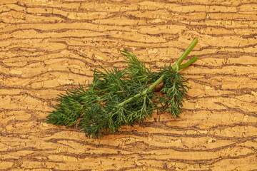 Aroma seasoning - Green Dill branch