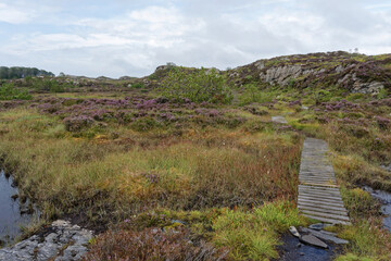 Norwegen - Hellesøy - Wanderweg zur Nordspitze
